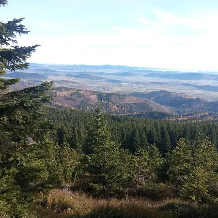 Spekane Skaly - * Miszkowice