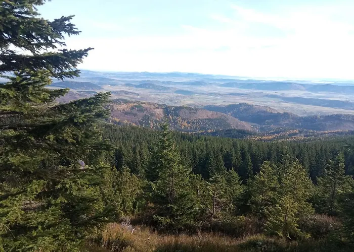 Spekane Skaly - * Miszkowice